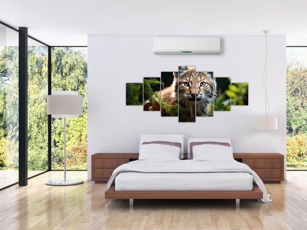 Obraz - Rys (210x100 cm)