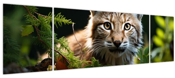 Obraz - Rys (170x50 cm)