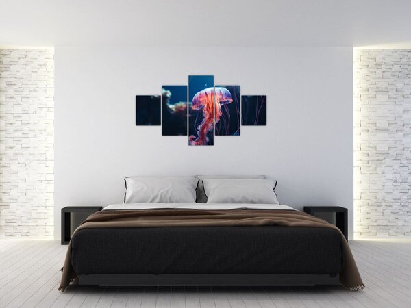 Obraz - Medúzka (125x70 cm)