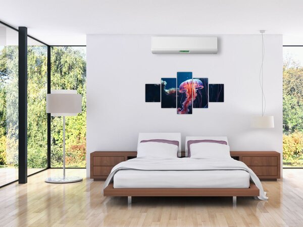 Obraz - Medúzka (125x70 cm)