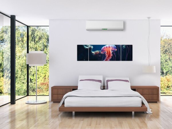 Obraz - Medúzka (170x50 cm)