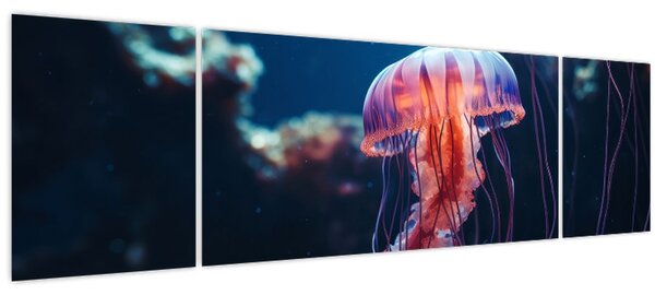 Obraz - Medúzka (170x50 cm)