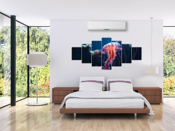 Obraz - Medúzka (210x100 cm)