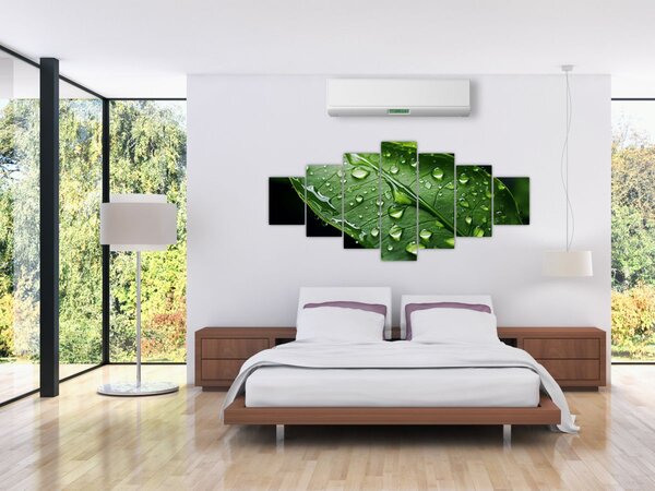 Obraz - List po dešti (210x100 cm)