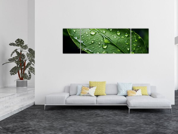 Obraz - List po dešti (170x50 cm)