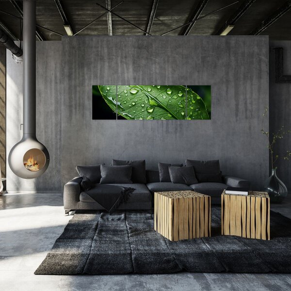 Obraz - List po dešti (170x50 cm)