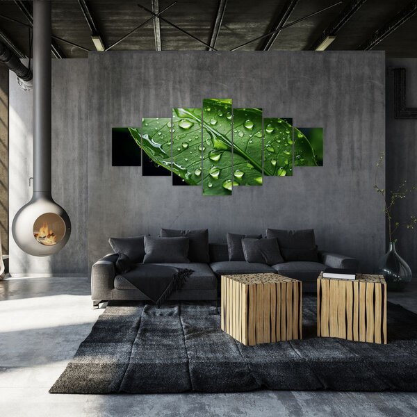 Obraz - List po dešti (210x100 cm)
