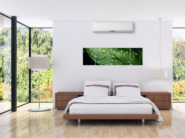 Obraz - List po dešti (170x50 cm)
