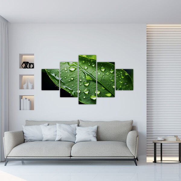 Obraz - List po dešti (125x70 cm)