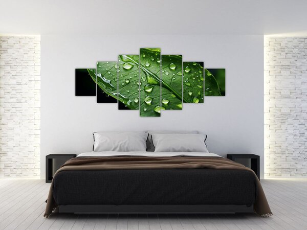 Obraz - List po dešti (210x100 cm)