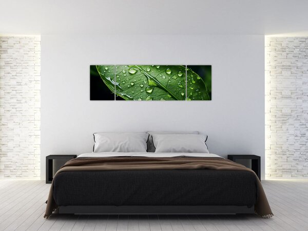 Obraz - List po dešti (170x50 cm)