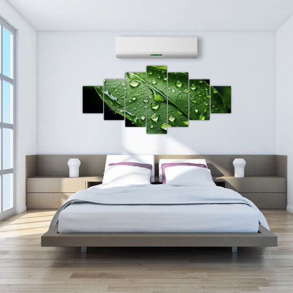 Obraz - List po dešti (210x100 cm)
