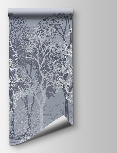 Fototapeta Skupina stromů v lese, Přírodní fototapety, Populární fototapety, w02930v2 - Tapeko.co.cz
