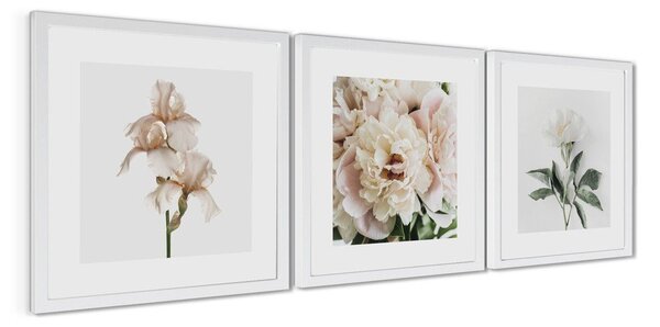 Tištěné obrazy v sadě 3 ks s rámem 30x30 cm Posy – Styler