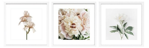 Tištěné obrazy v sadě 3 ks s rámem 30x30 cm Posy – Styler