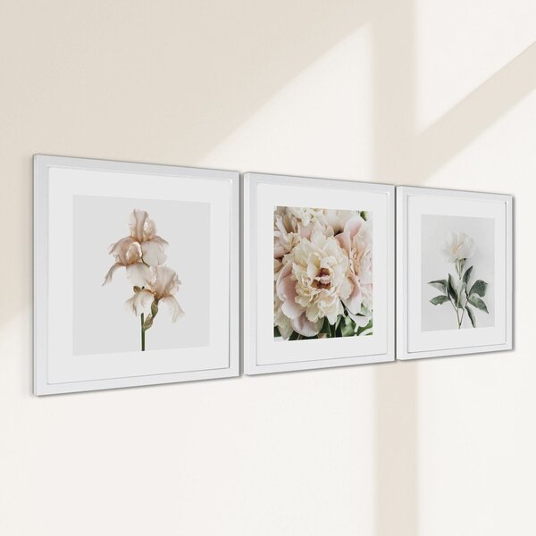 Tištěné obrazy v sadě 3 ks s rámem 30x30 cm Posy – Styler