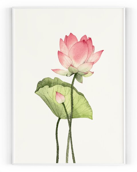Plakát / Obraz Zen S okrajem Pololesklý saténový papír 40 x 50 cm