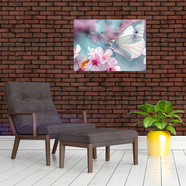 Obraz - Motýl na třešni (70x50 cm)