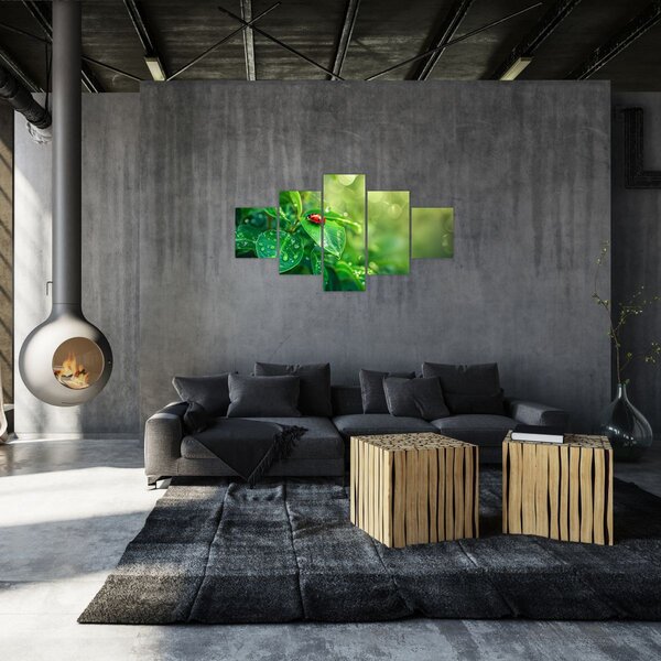 Obraz - Beruška (125x70 cm)