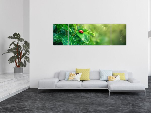 Obraz - Beruška (170x50 cm)