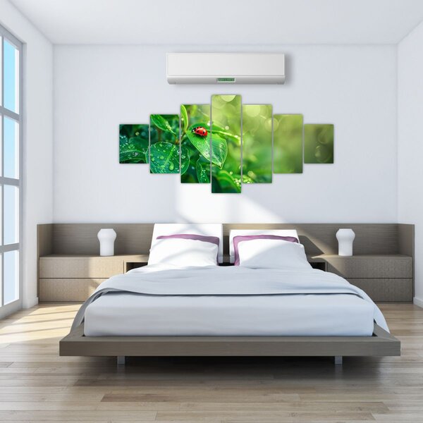 Obraz - Beruška (210x100 cm)