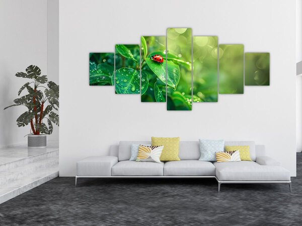 Obraz - Beruška (210x100 cm)