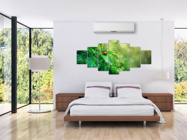 Obraz - Beruška (210x100 cm)