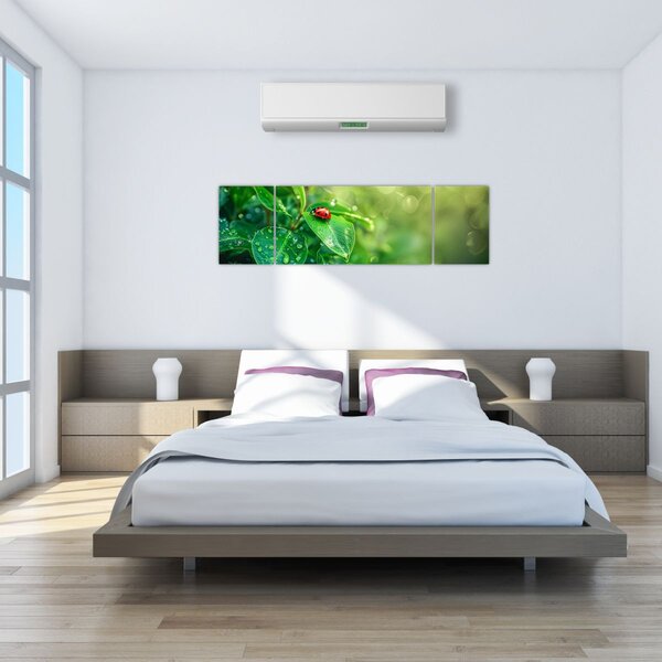 Obraz - Beruška (170x50 cm)