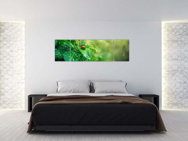 Obraz - Beruška (170x50 cm)