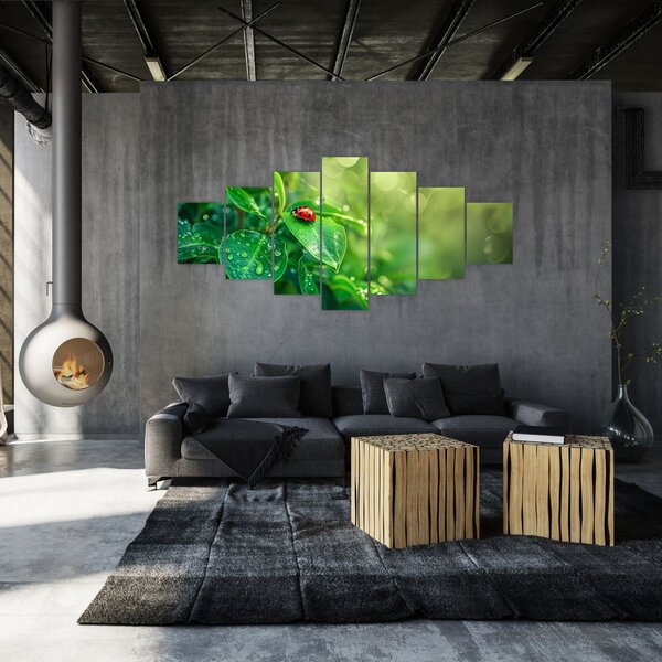Obraz - Beruška (210x100 cm)