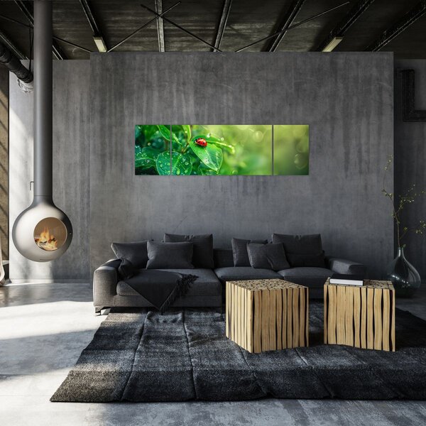 Obraz - Beruška (170x50 cm)