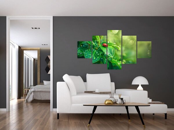 Obraz - Beruška (125x70 cm)