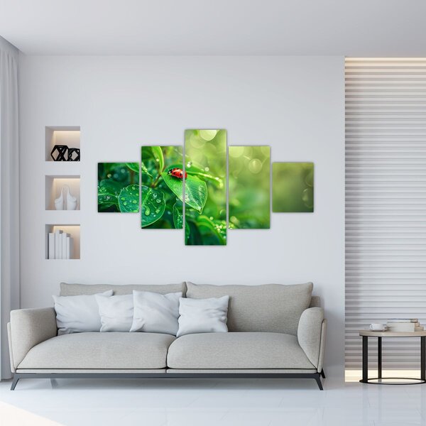 Obraz - Beruška (125x70 cm)