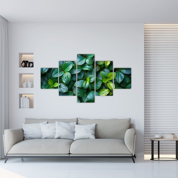 Obraz - Zelené rostliny (125x70 cm)