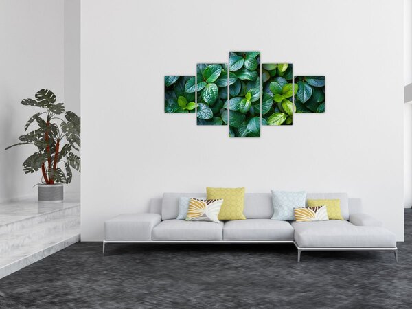 Obraz - Zelené rostliny (125x70 cm)