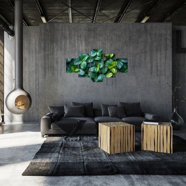 Obraz - Zelené rostliny (125x70 cm)
