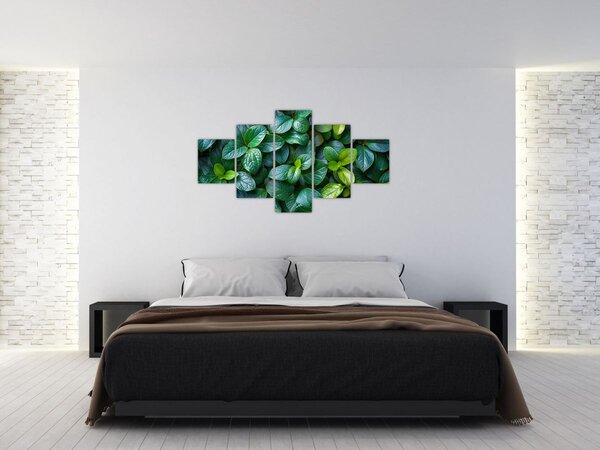 Obraz - Zelené rostliny (125x70 cm)