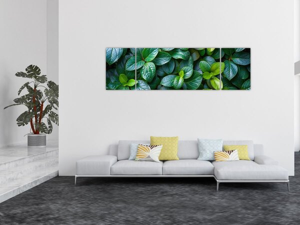 Obraz - Zelené rostliny (170x50 cm)