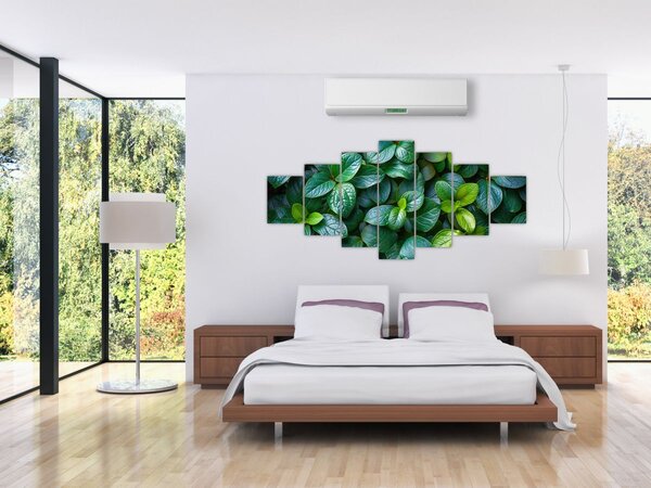 Obraz - Zelené rostliny (210x100 cm)