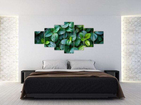 Obraz - Zelené rostliny (210x100 cm)