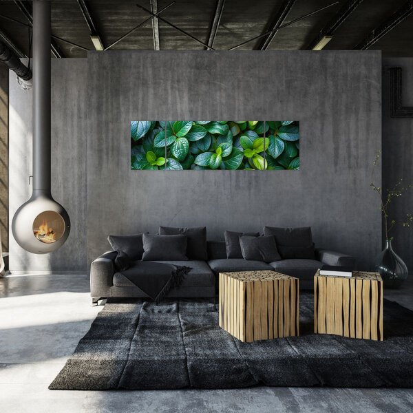 Obraz - Zelené rostliny (170x50 cm)