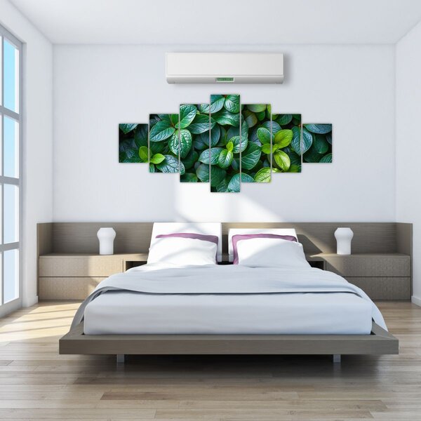 Obraz - Zelené rostliny (210x100 cm)