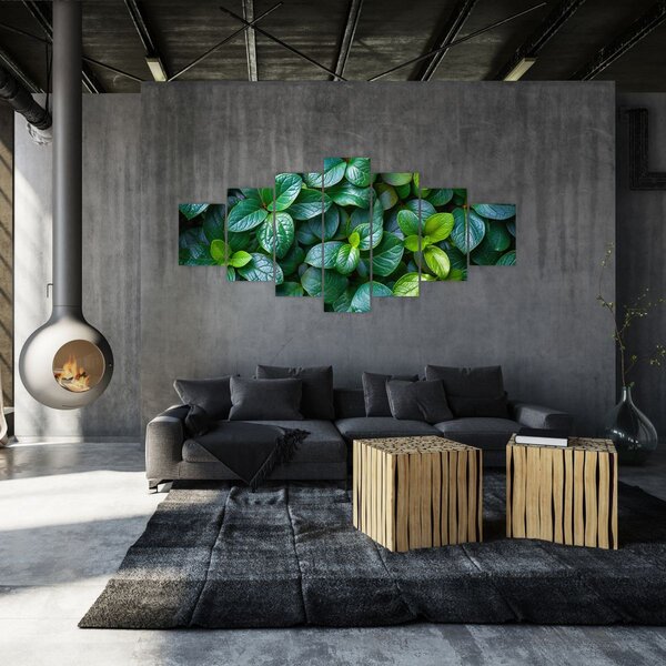 Obraz - Zelené rostliny (210x100 cm)