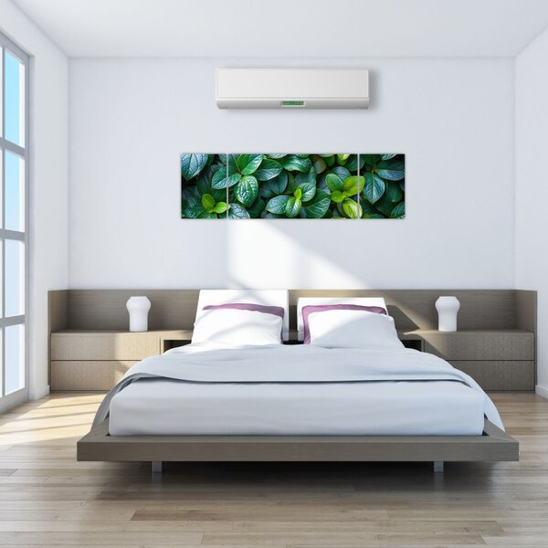 Obraz - Zelené rostliny (170x50 cm)
