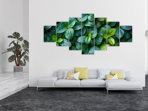 Obraz - Zelené rostliny (210x100 cm)