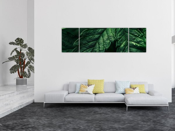 Obraz - Detail listu (170x50 cm)