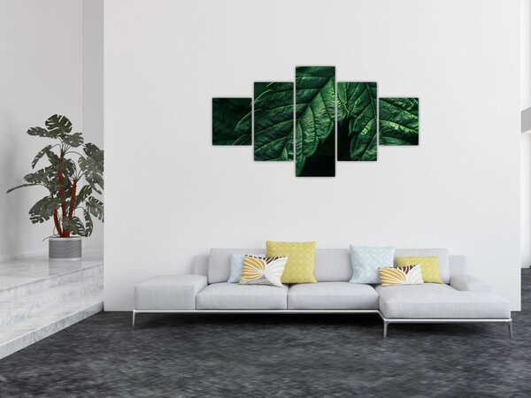 Obraz - Detail listu (125x70 cm)