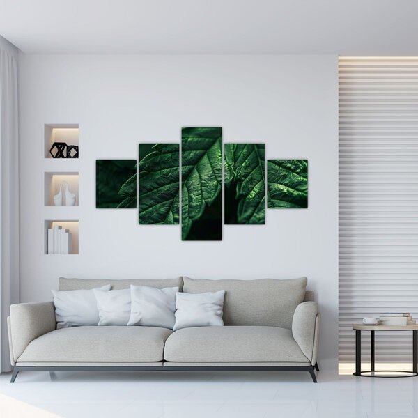 Obraz - Detail listu (125x70 cm)