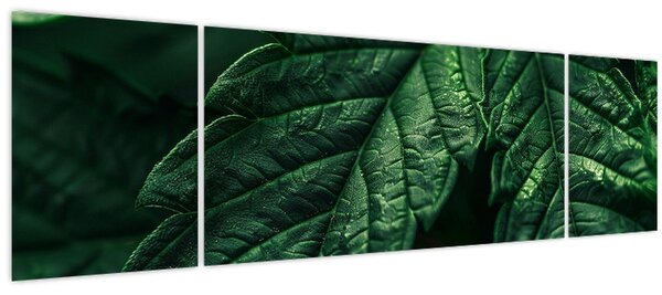 Obraz - Detail listu (170x50 cm)