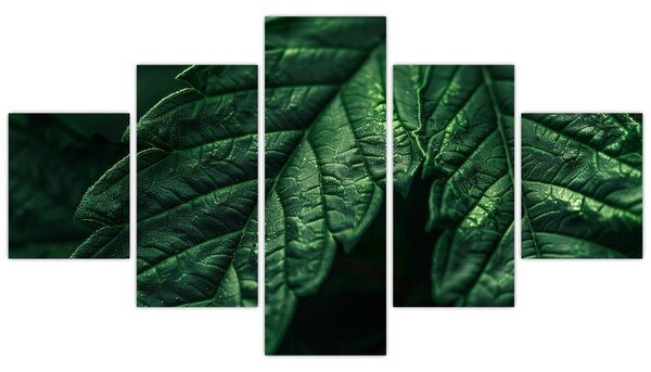 Obraz - Detail listu (125x70 cm)